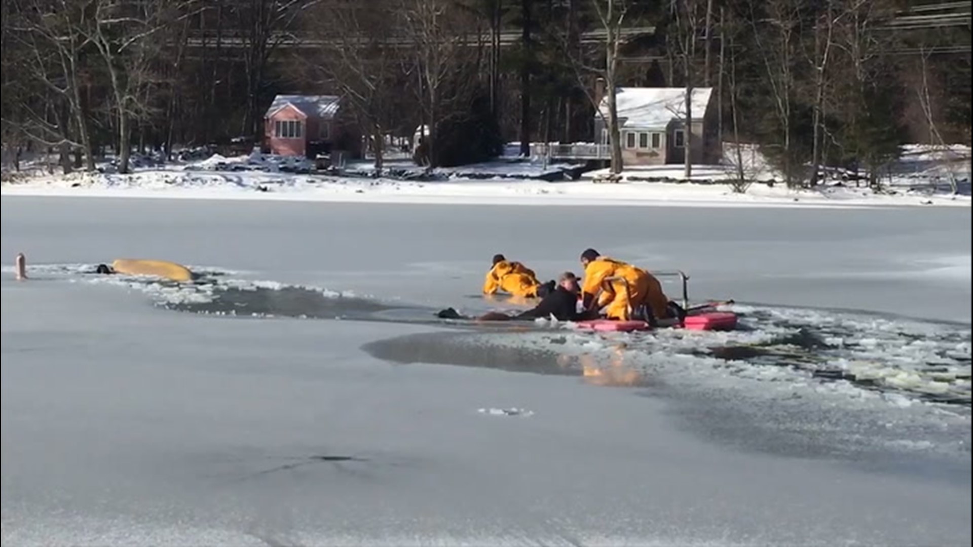 Firefighters were called to a frozen pond in Sterling, Massachusetts, to rescue a man and his dog that had fallen into the ice on Jan. 19.