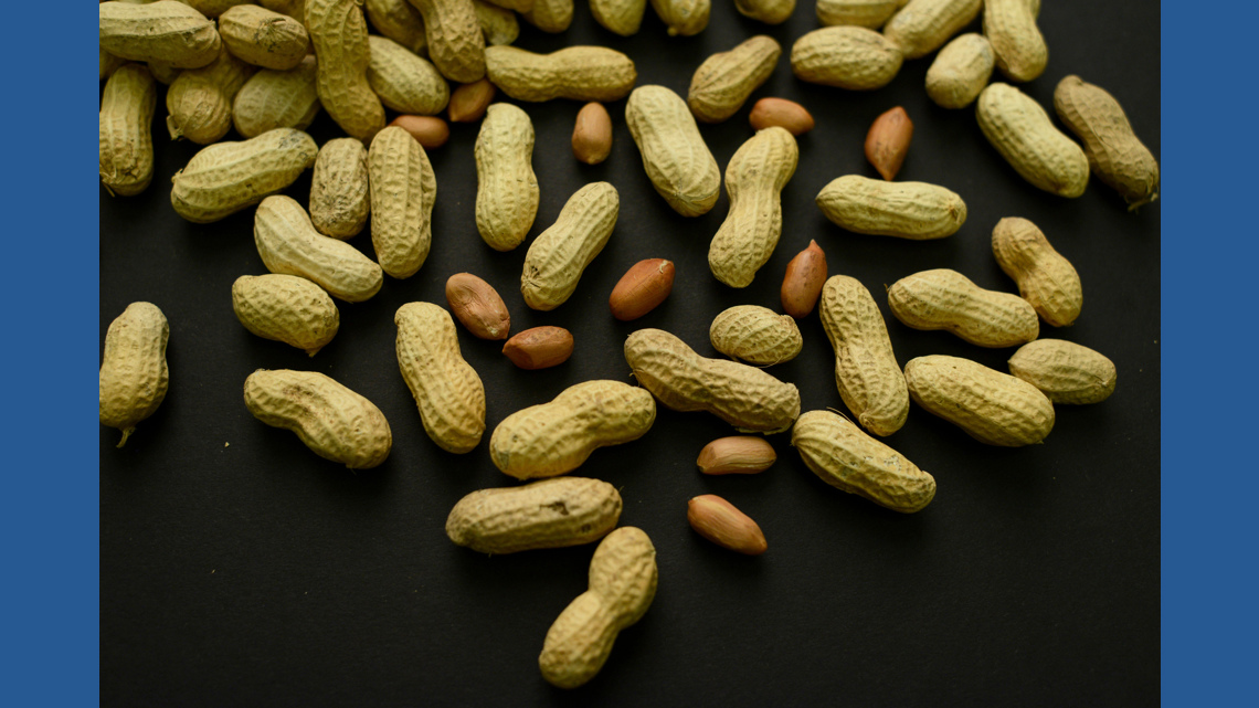 Early Peanut Introduction Prevents Allergies In 60,000 US Children