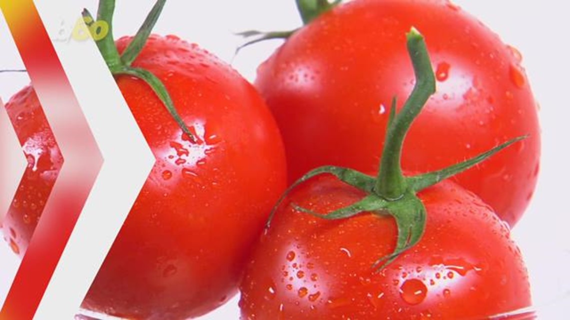 TV Shows in 2018 That Saw A Perfect Score on Rotten 