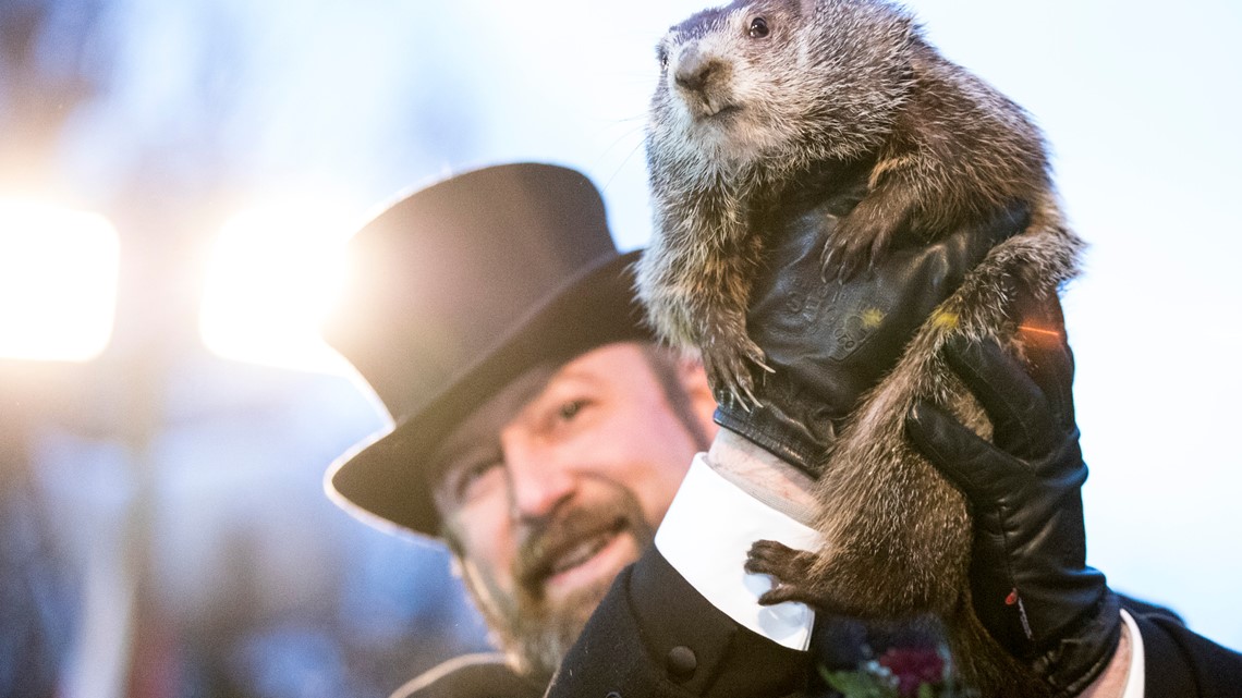 Groundhog doesn't see his shadow, predicting early spring 