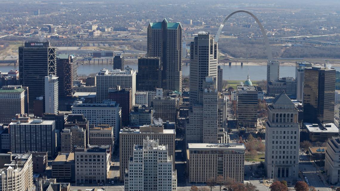 AI images cause 'confusion' in search for monkeys on the loose in St. Louis