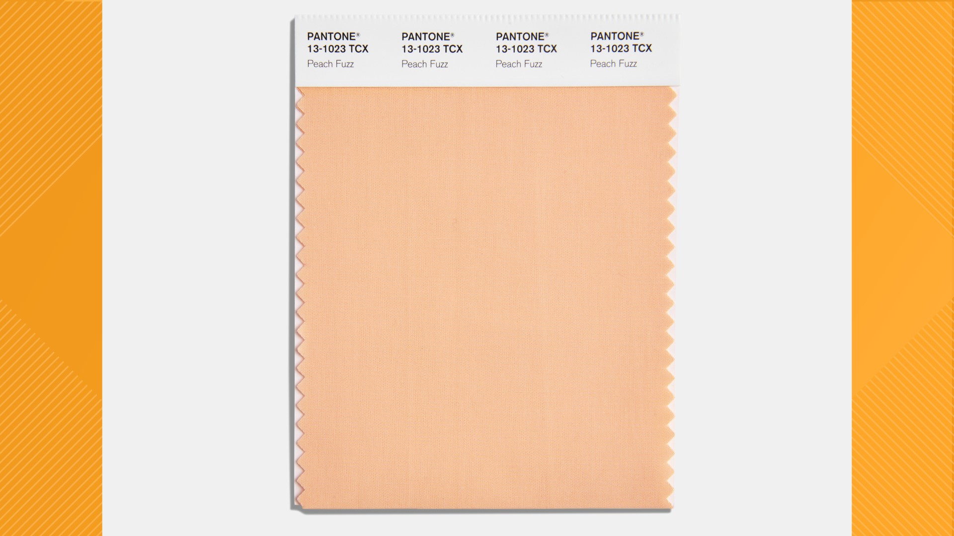 Peach Fuzz is Pantone Color of the Year for 2024