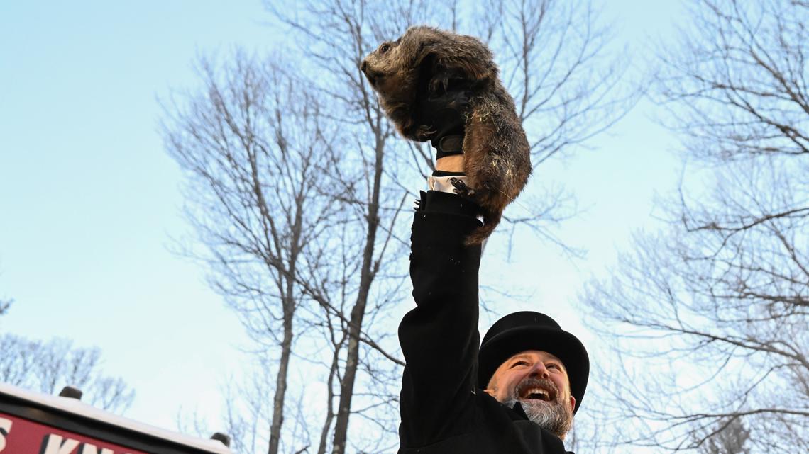 Punxsutawney Phil isn't the only animal making winter predictions on Groundhog Day. Meet the other forecasting animals