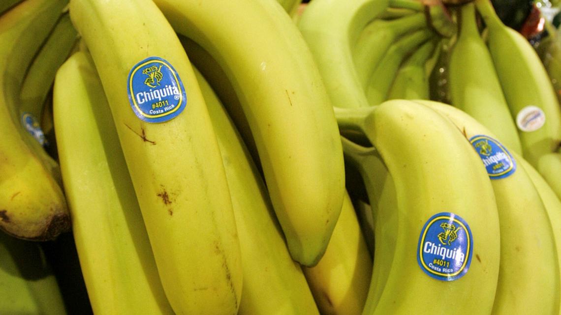 Chiquita liable for Columbian paramilitary deaths, jury finds - Vimarsana News