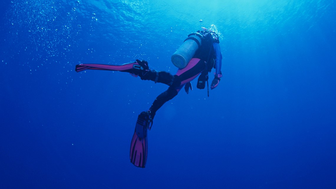 Paddleboarder loses phone in Massachusetts; scuba diver finds it - Vimarsana News