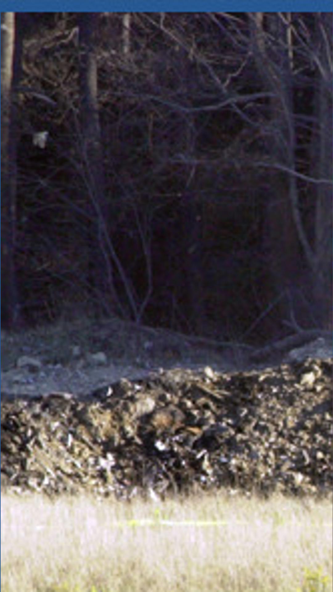 Aerial footage shows a crater in the ground by the crash of United