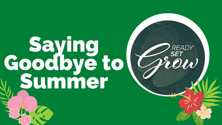 Ready, Set, Grow | Saying goodbye to summer