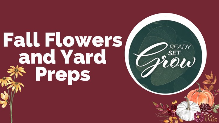 Ready, Set, Grow | Fall flowers and yard preps