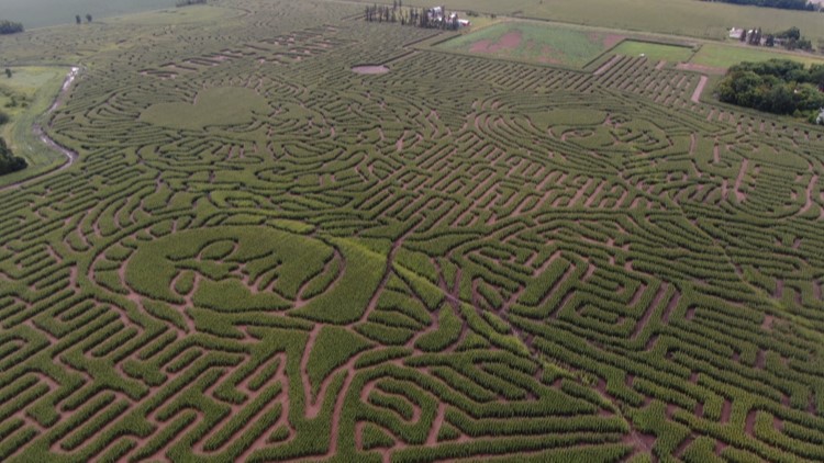 Minnesota farm seeks title of world's largest corn maze