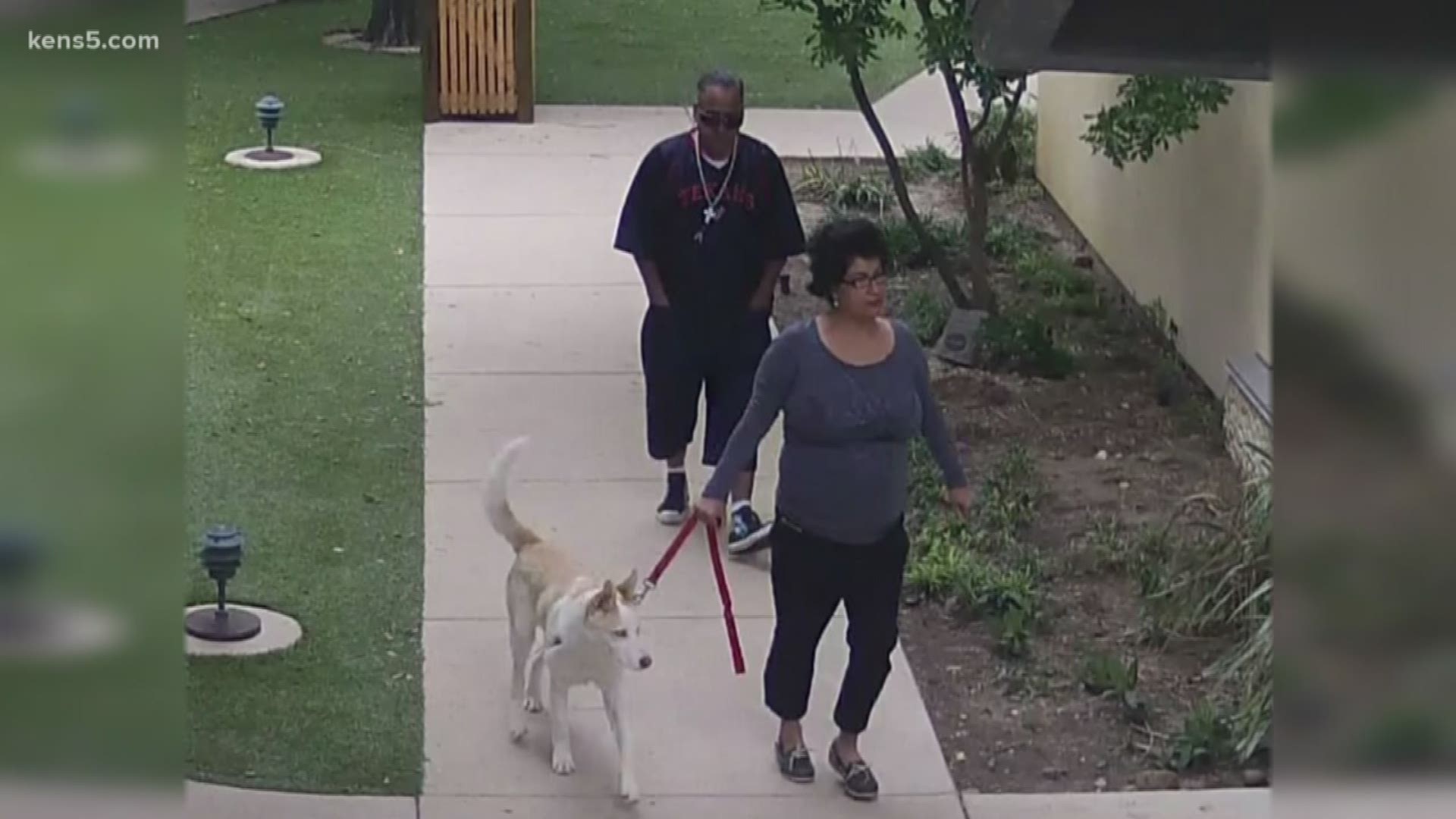 Couple caught on camera stealing puppy from Humane Society | wcnc.com