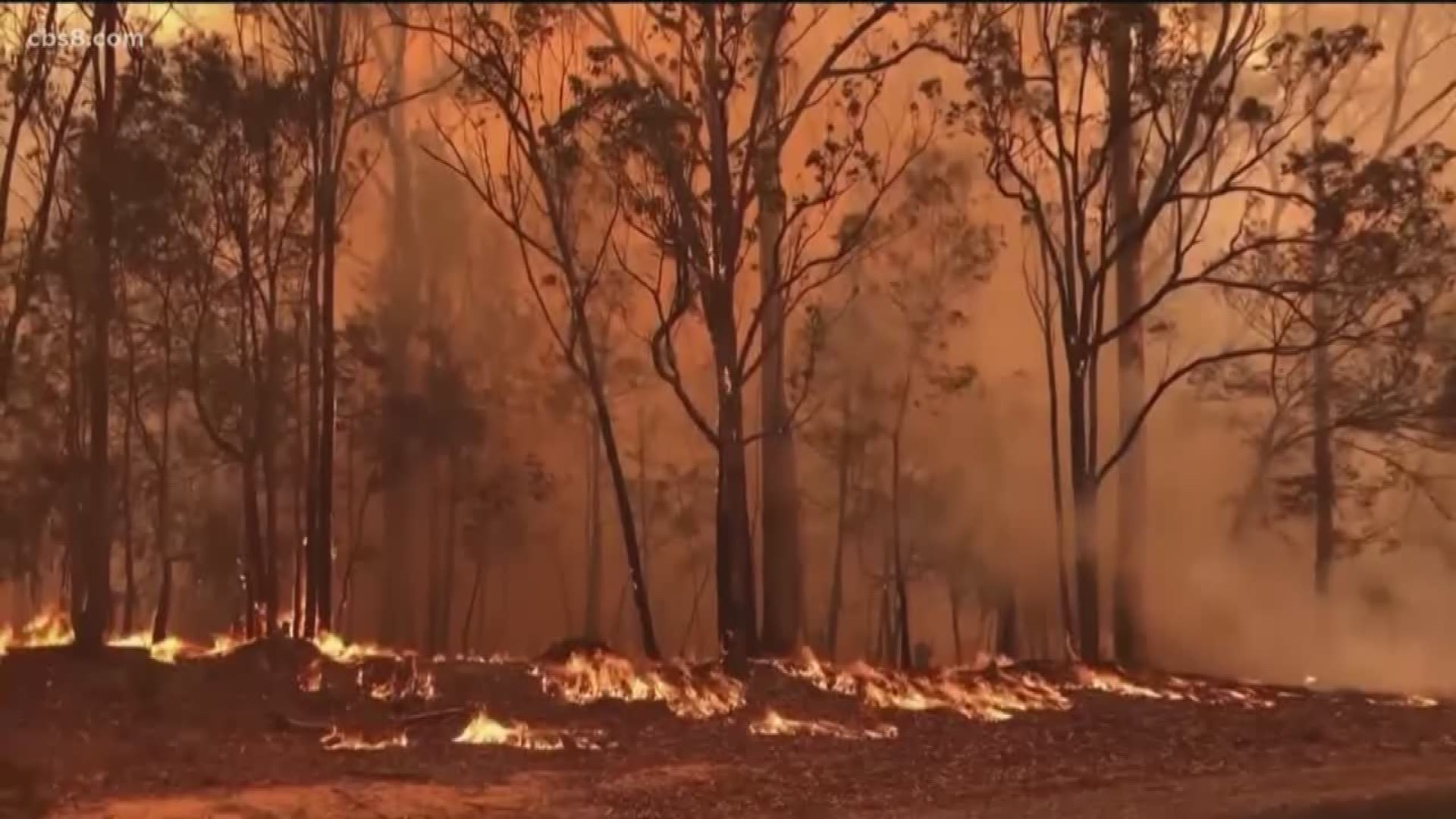 15 million acres of Australia have burnt.