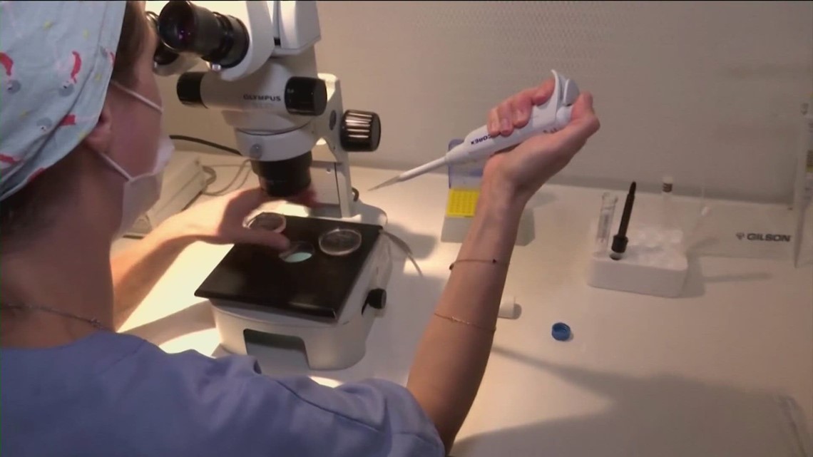 North Carolina Democrats want IVF protections