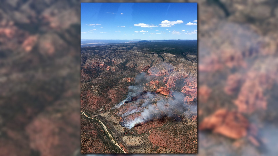 Arizona hiker convicted of starting forest fires to be rescued - Vimarsana News