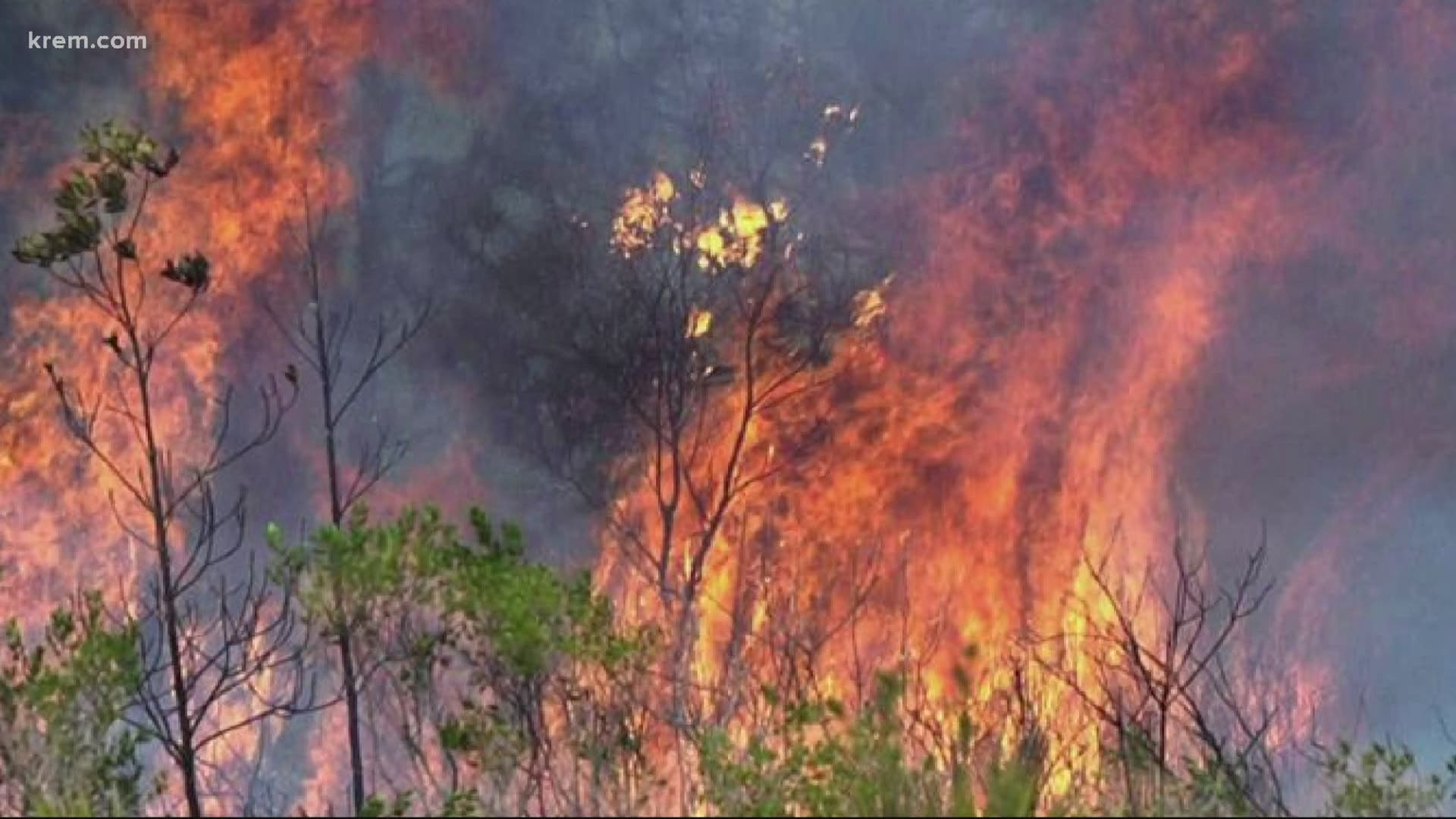 Wildfire season is already 6 weeks ahead of schedule.