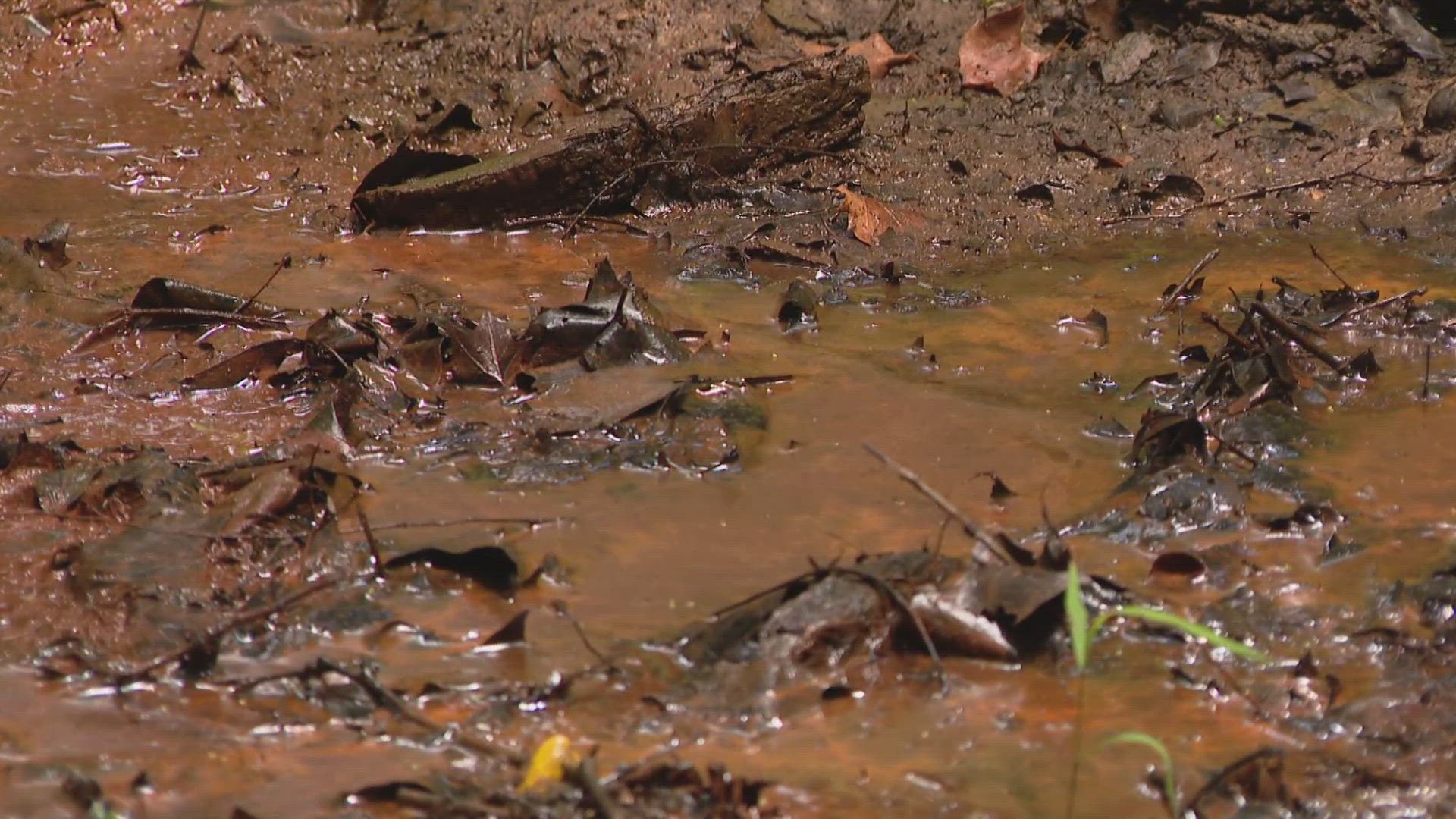 Toxic orange goo seeps from abandoned Missouri landfill. No one is