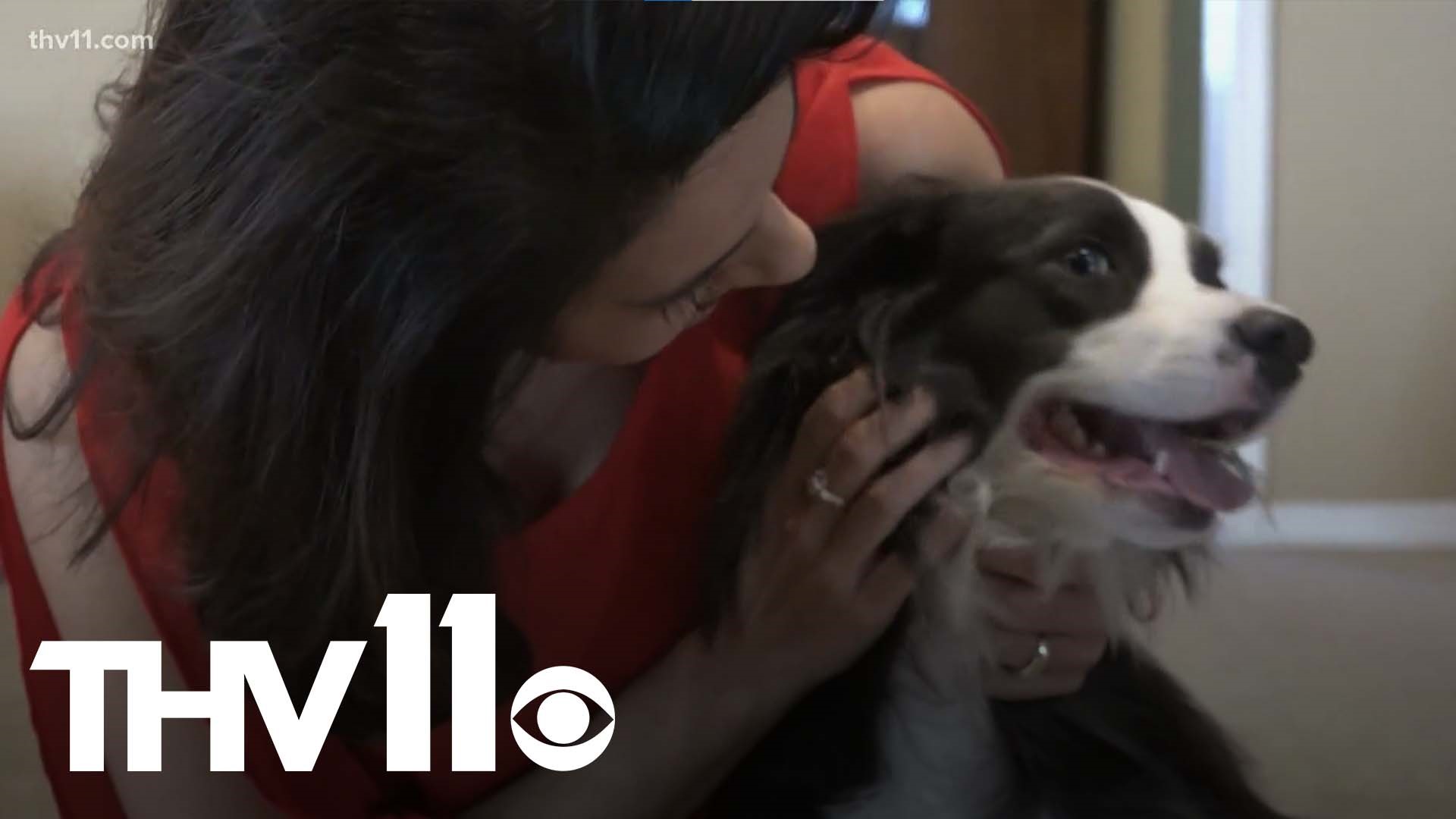 An Arkansas family is celebrating after their dog returned right to their front door. The pet accidentally escaped but their doorbell camera caught its return.