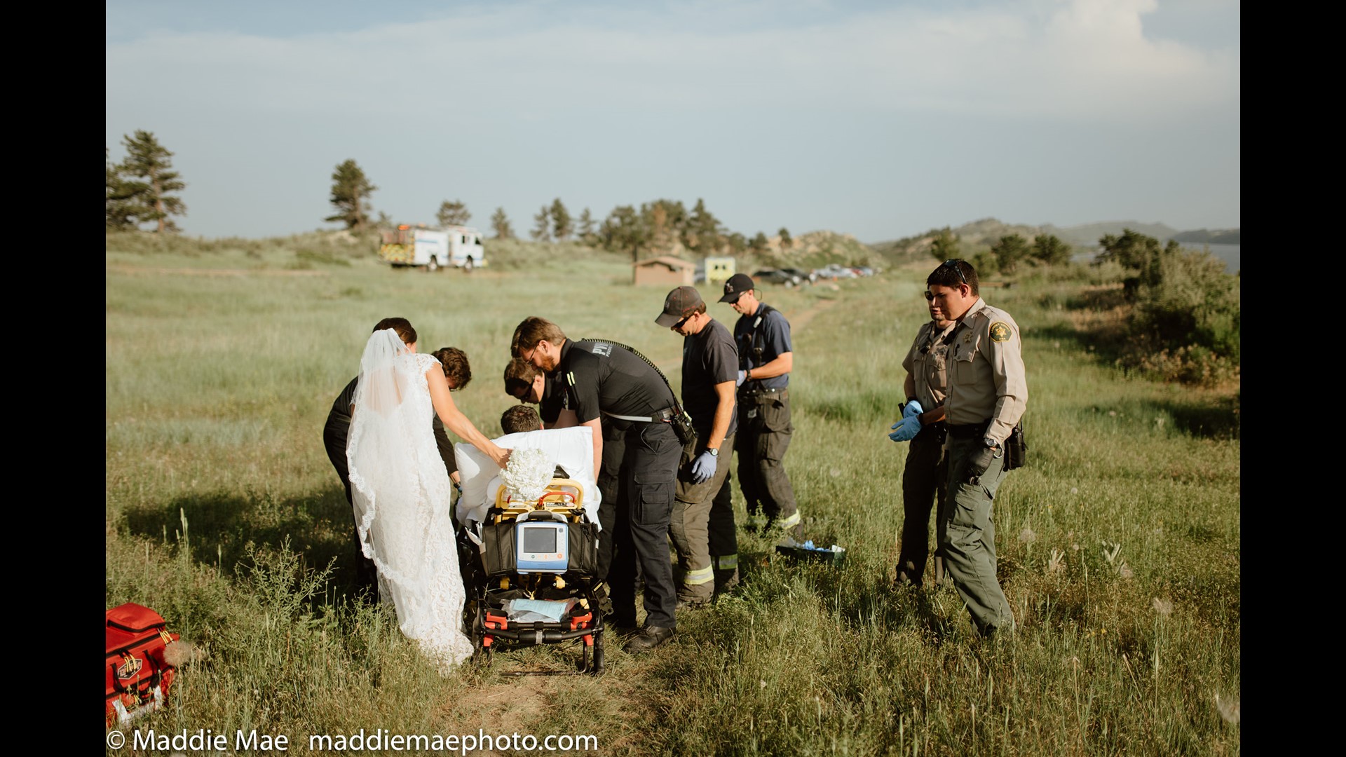 Wedding photographer captures aftermath of Fort Collins groom bit by