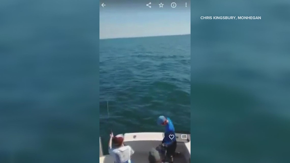 Mako shark jumps onto Maine fishing boat - Vimarsana News