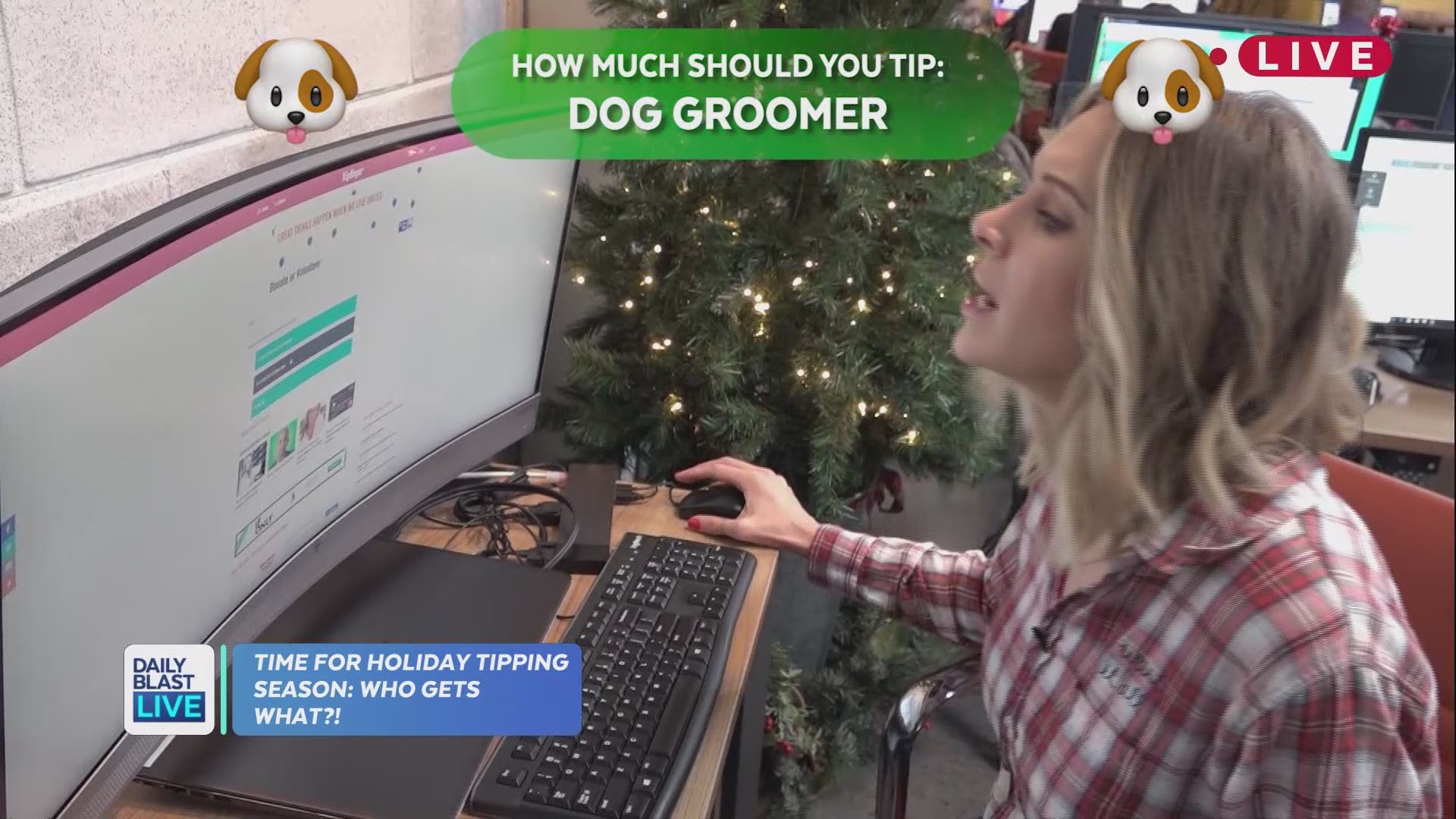 How Much to Tip Dog Groomer at Christmas: Ultimate Guide 2025