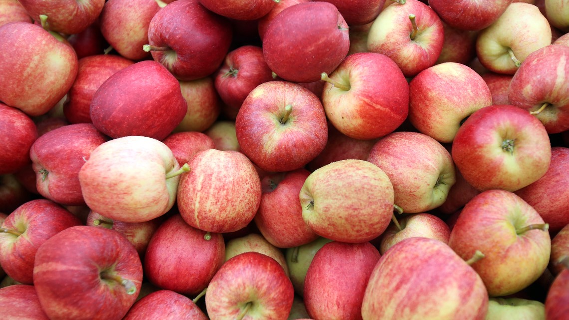 Hungry Girl - What's the most popular apple in America? Apparently Gala has  bumped Red Delicious from the top spot! What's your apple of choice?  #firstdayoffall