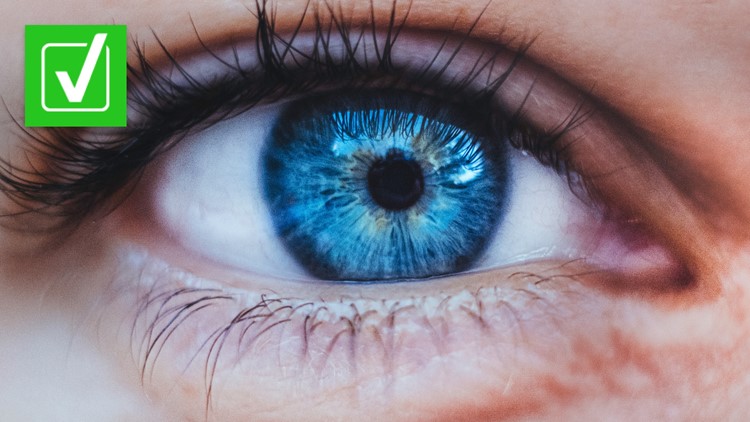 Yes, scientists believe all blue-eyed people came from a common ancestor