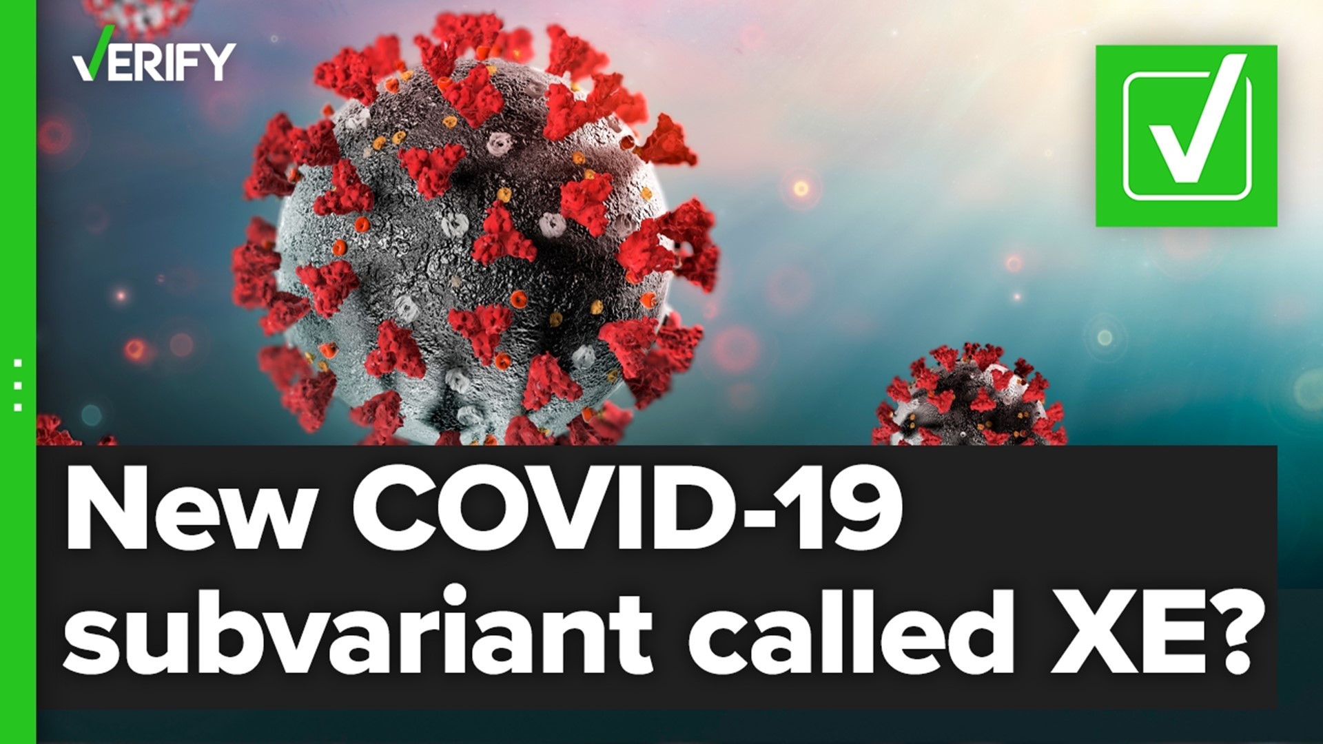 Experts say XE may be more contagious than omicron subvariant BA.2, though more evidence is needed.