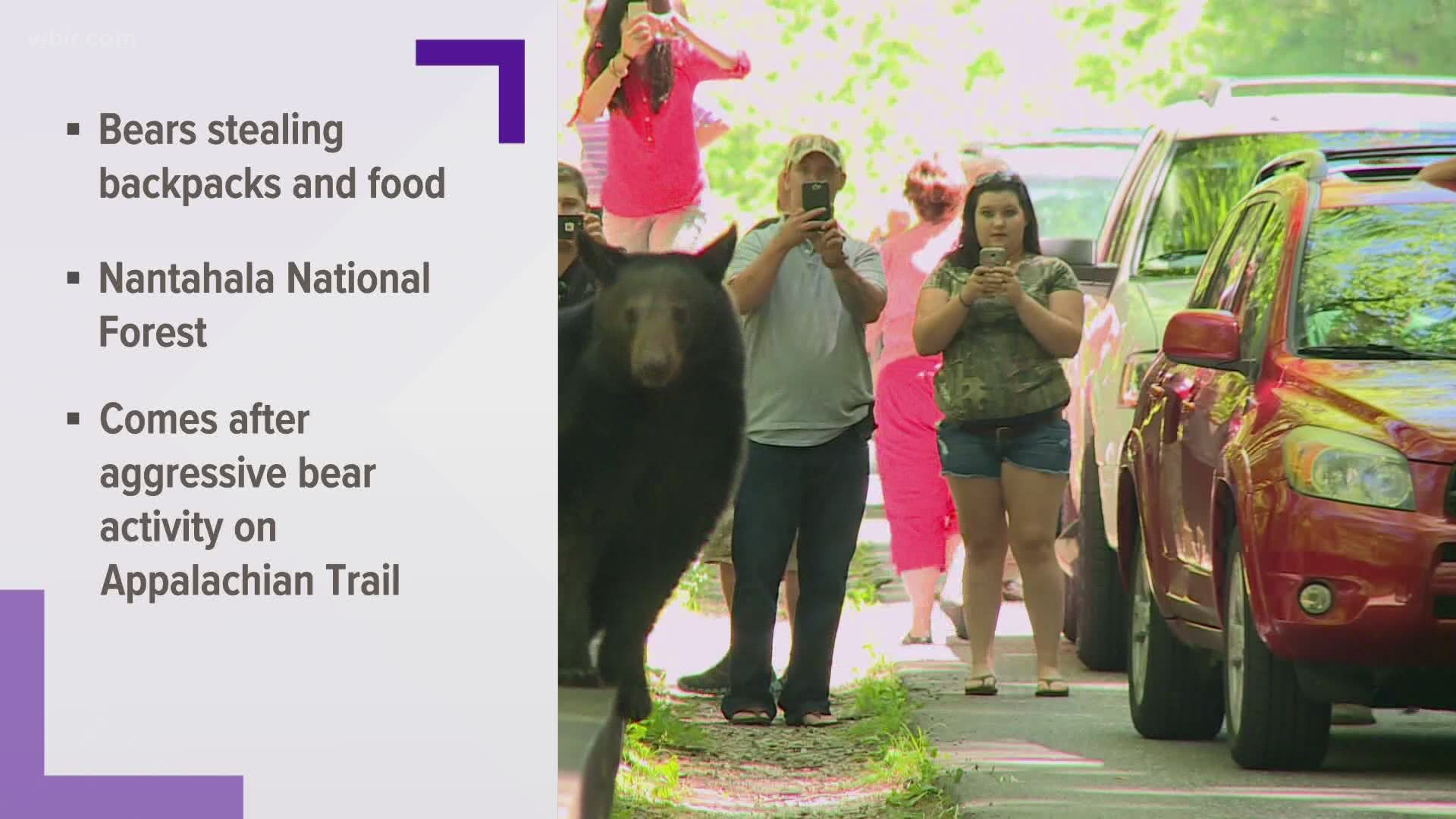 Wildlife experts say they are seeing a rise in bear activity just across the state line in North Carolina.