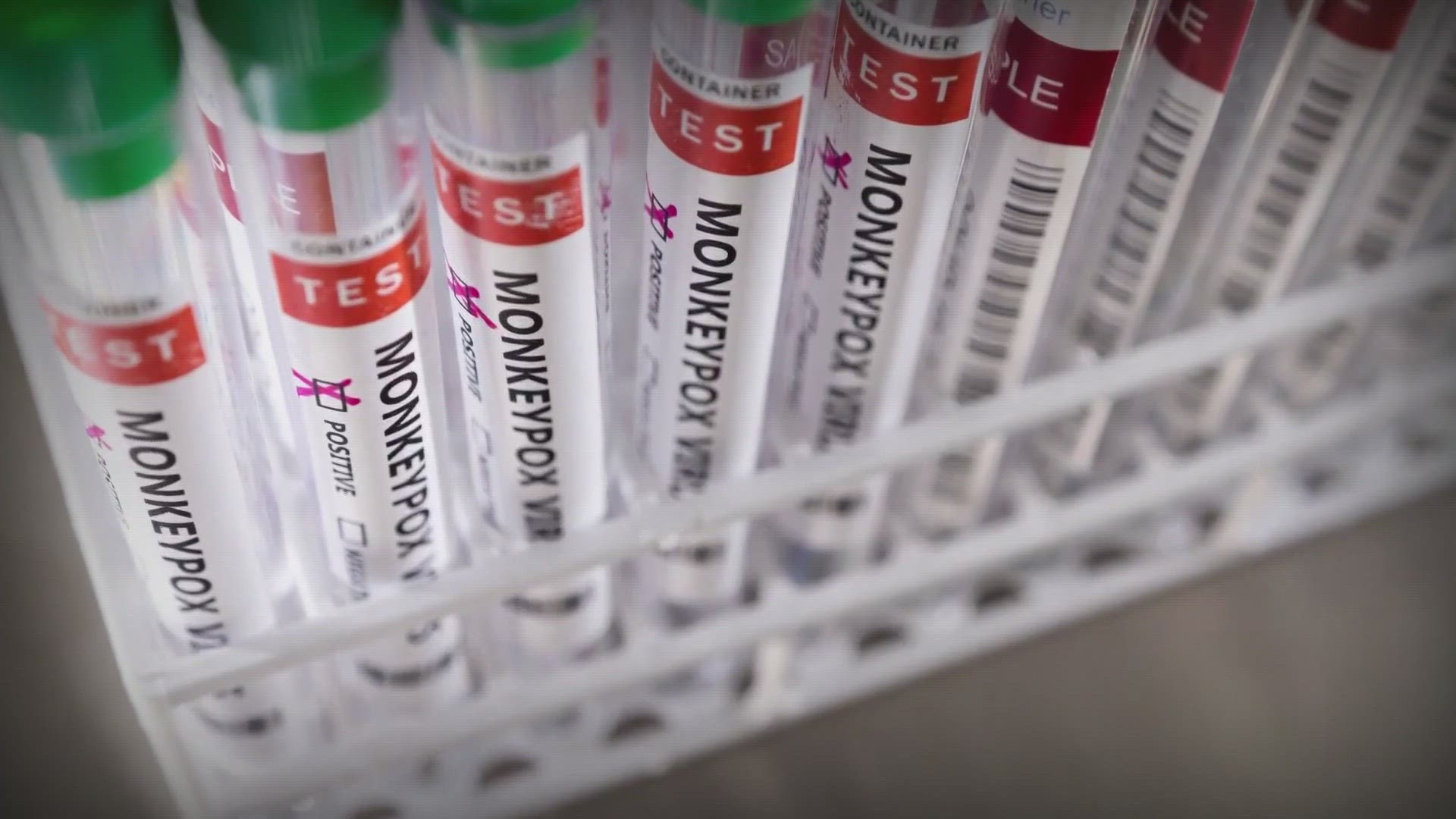 SC police chief fired after misconduct charge