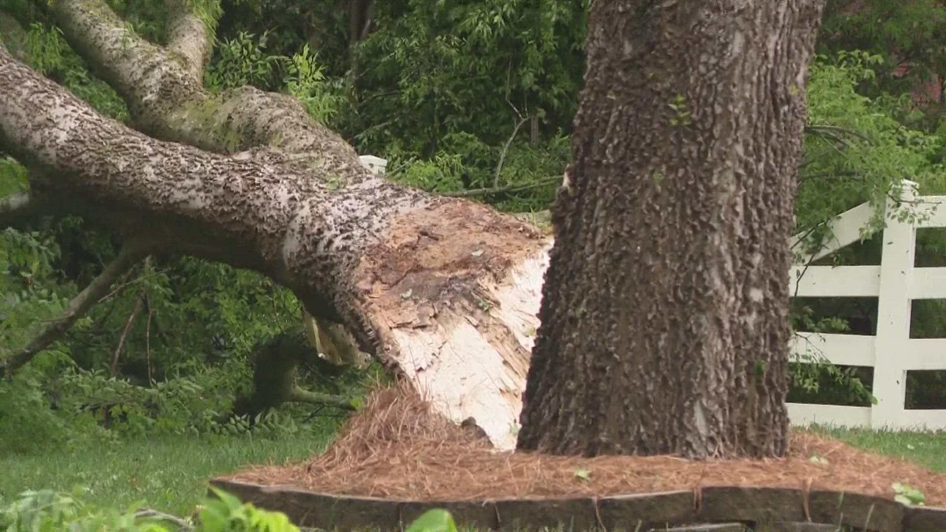 Damaging winds from a possible tornado caused storm damage in east Charlotte and Harrisburg Monday.