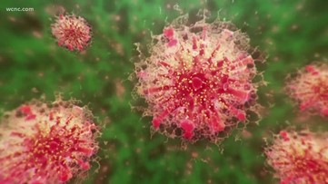 Here's what's known about BA.2, the omicron subvariant detected in the US