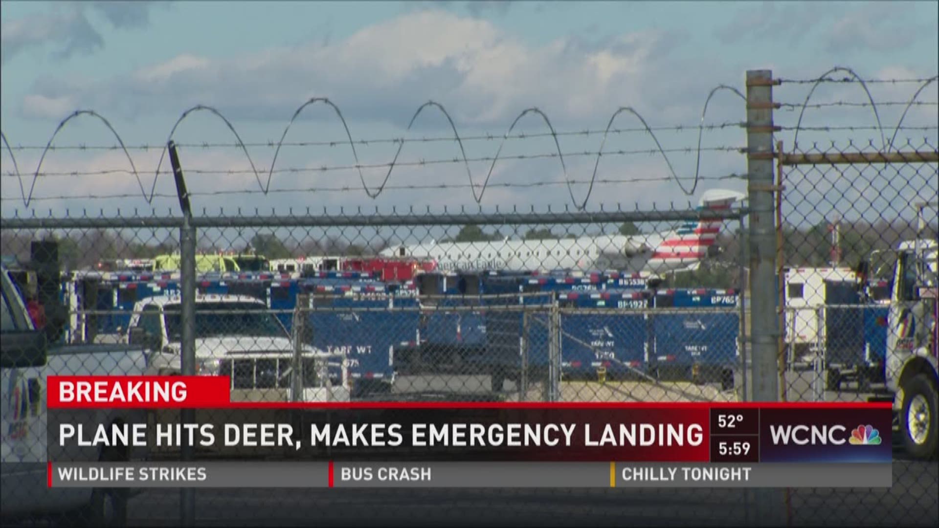 An American Airlines flight leaving Charlotte hit a deer while attempting to take off Wednesday.