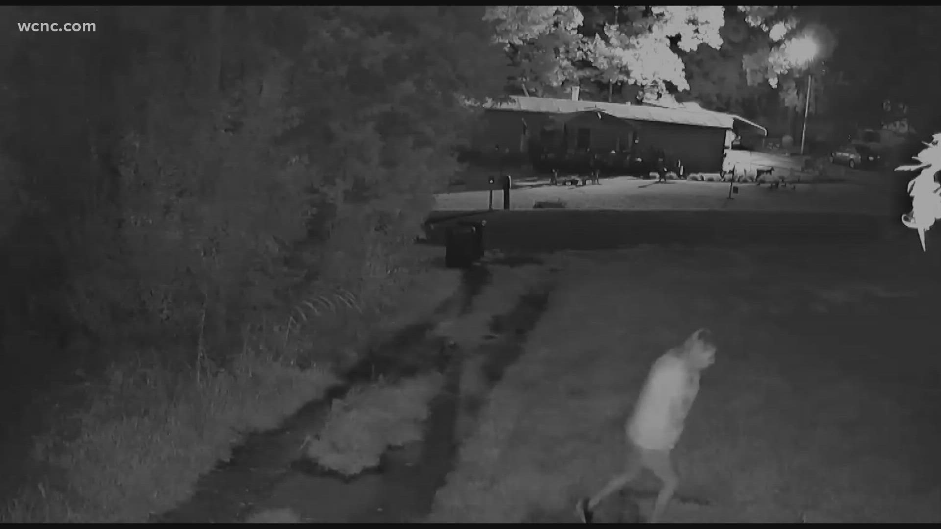 Detectives believe the remains belong to a woman seen in this surveillance footage. But besides her description she was wearing a T-shirt, shorts, and a silicone