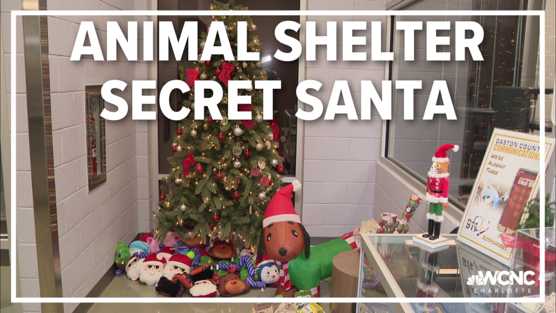 There's a chance to help some four-legged friends this holiday season.