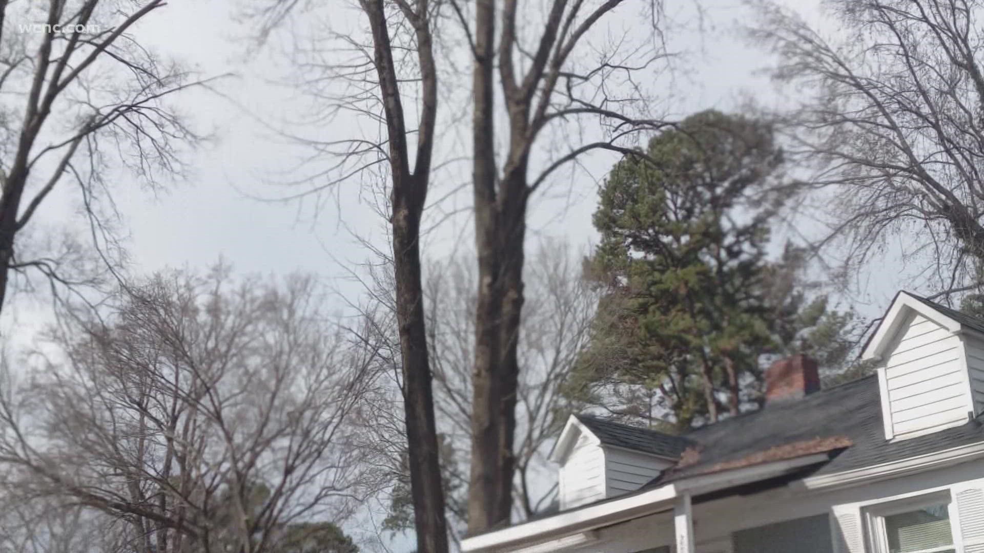 We have a lot of trees in the Carolinas. But sometimes, nature's beauty can be trouble for homeowners.