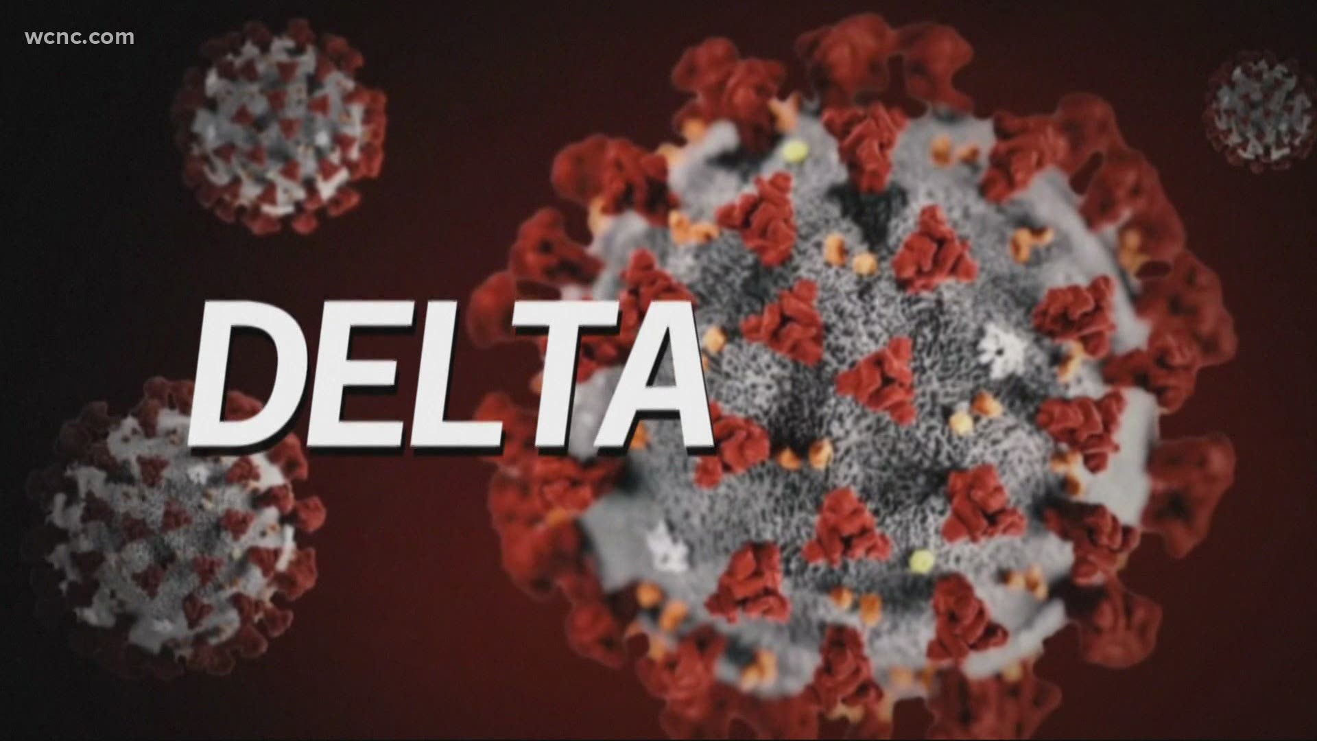 Delta virus symptoms