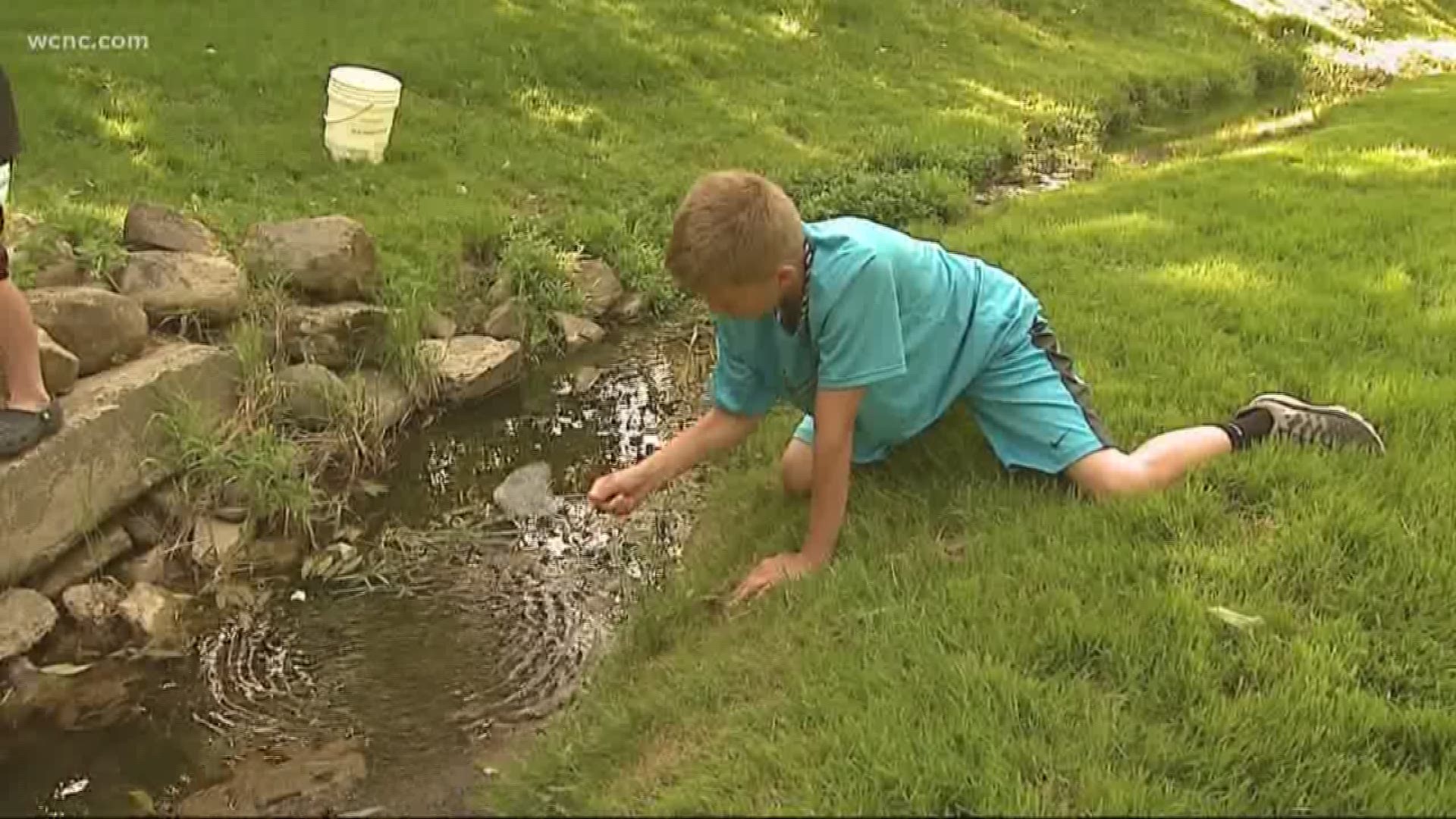 Parents often remind their children to think about ways in which their actions can impact the earth. But according to a recent study, connecting with nature can help our kids’ brains in return.