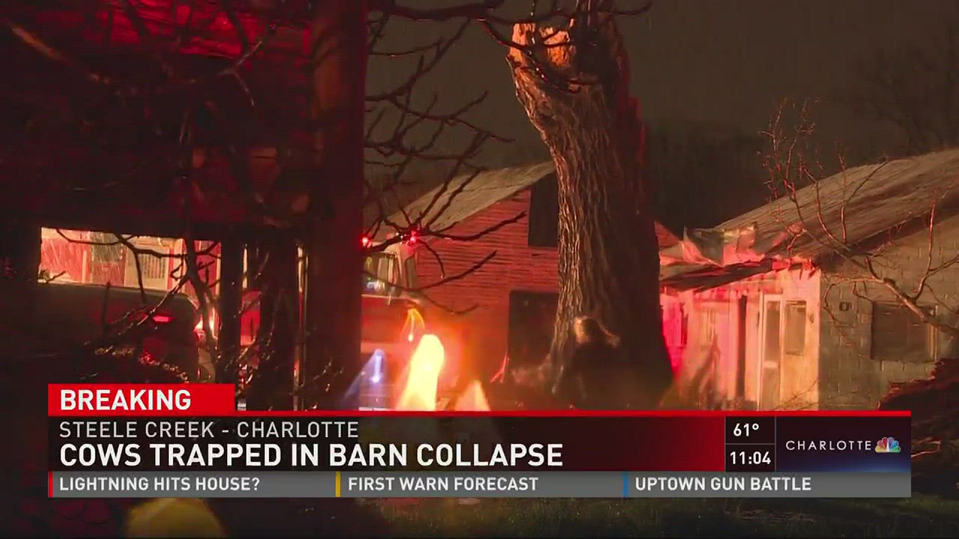 Two cows were trapped when the barn collapsed, one died from its injuries.