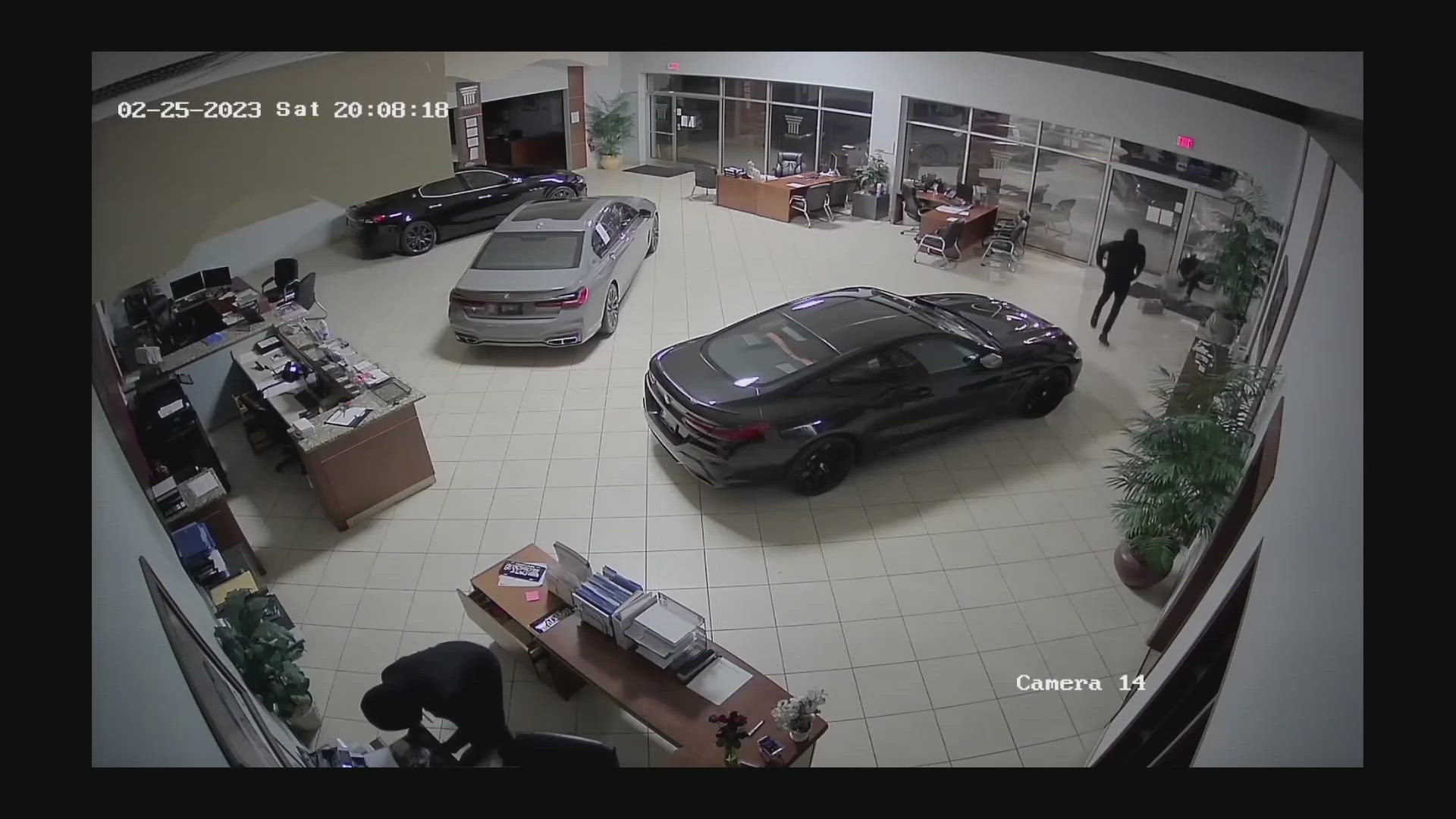 Surveillance video caught the suspects stealing three BMWs and a Maserati from Adams Auto Group on Independence Boulevard.