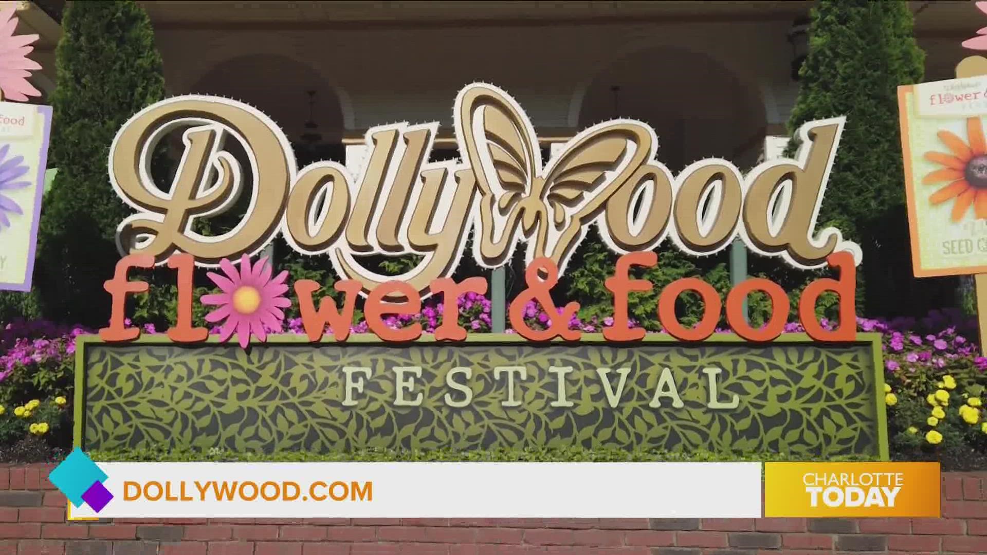 Enjoy the family fun and food at the upcoming Dollywood festival