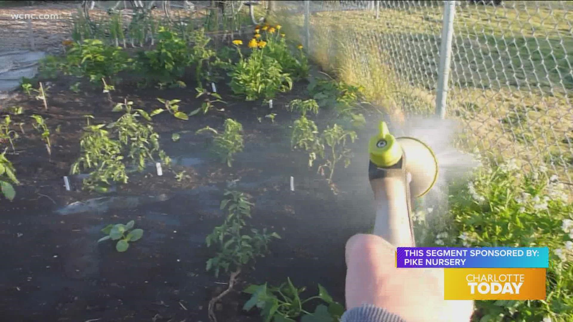 Pike Nursery will get your vegetable garden started off right