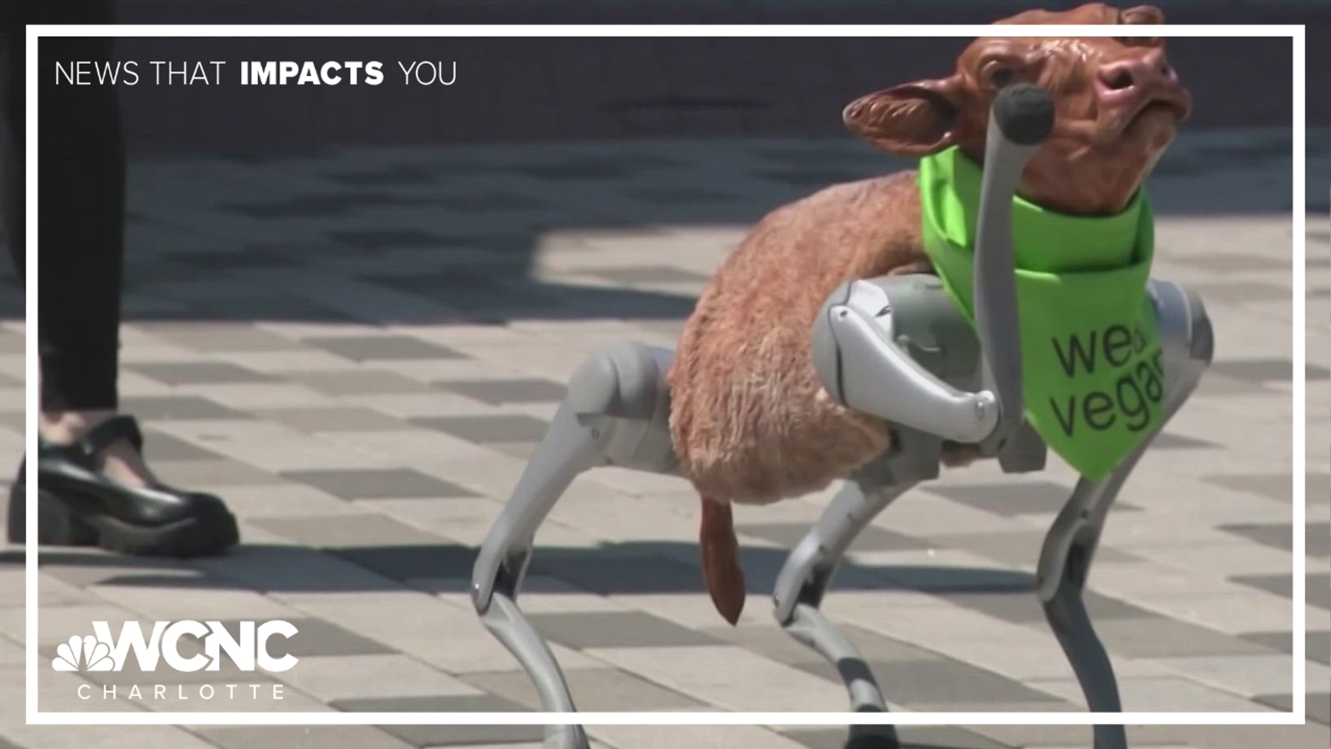PETA said the cow was designed to call people's attention to the impacts of the leather industry. 