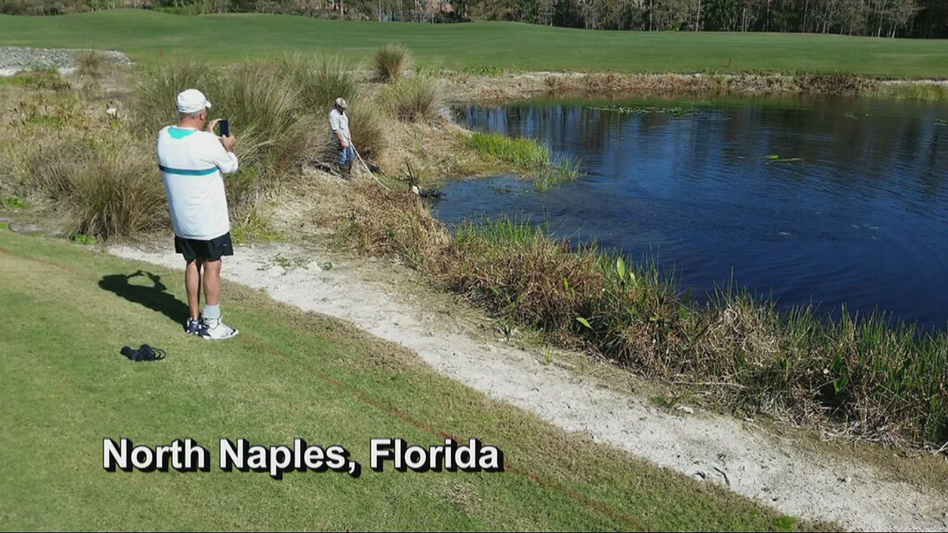 Golfer Lucky Copps lived up to his name recently when he jumped into a Florida pond to save his friend's dog from an alligator attack.