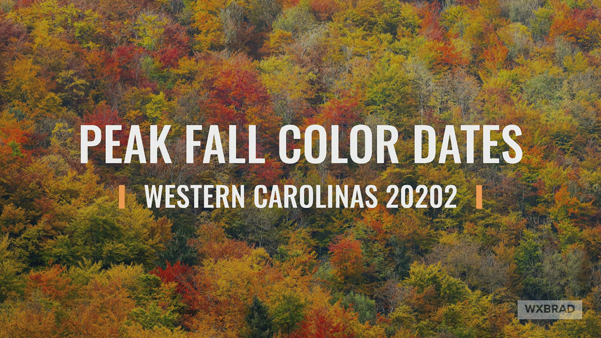 WCNC Chief Meteorologist Brad Panovich explains when locations across the western North Carolina mountains, foothills, and Piedmont will see fall colors.