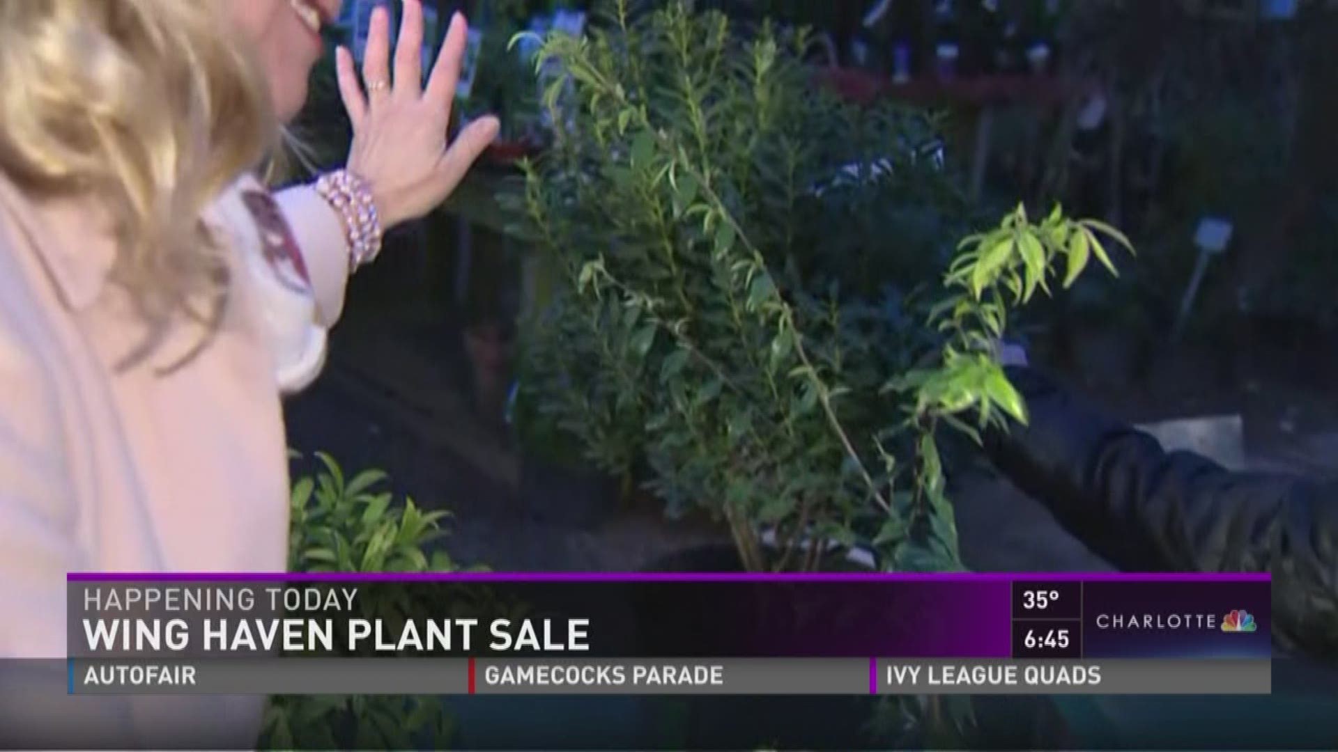 Just in time for spring planting, a Charlotte tradition is here to help spruce up your garden!