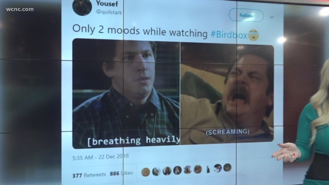 Social media goes crazy over Netflix thriller 'Bird Box 