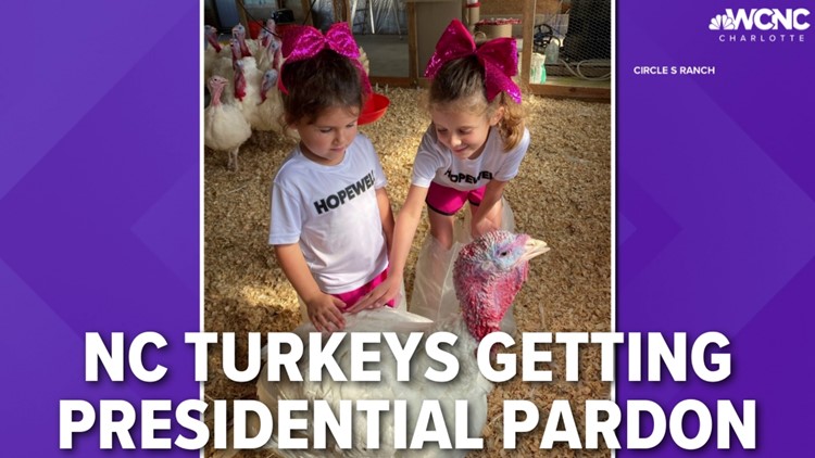 President Biden to pardon North Carolina turkeys for Thanksgiving