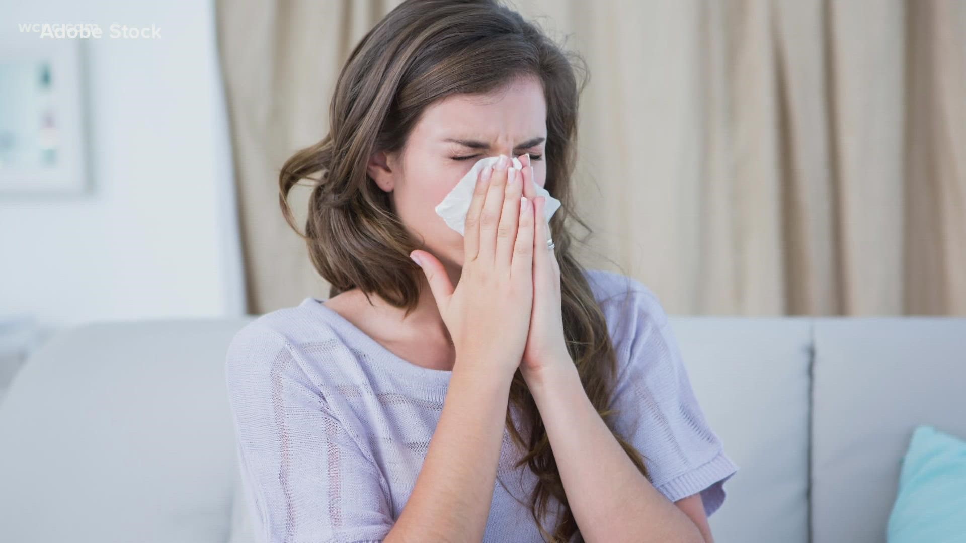 Dr. Flora Stay, a clinical professor at the University of Southern California, talks to Carolyn Bruck about the chemicals that could make allergies worse.