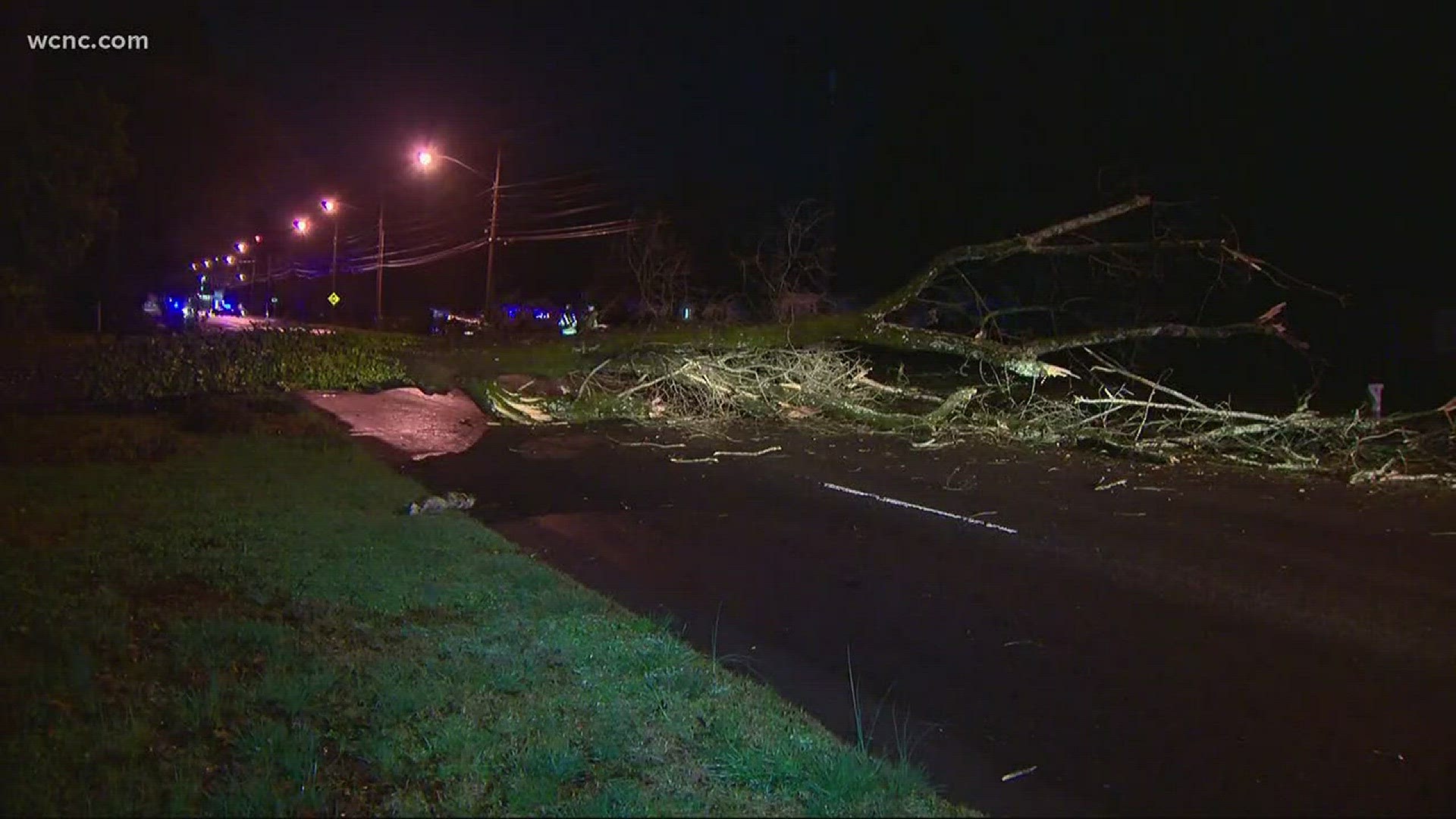 A popular road in Gastonia is completely blocked off after a treefall.