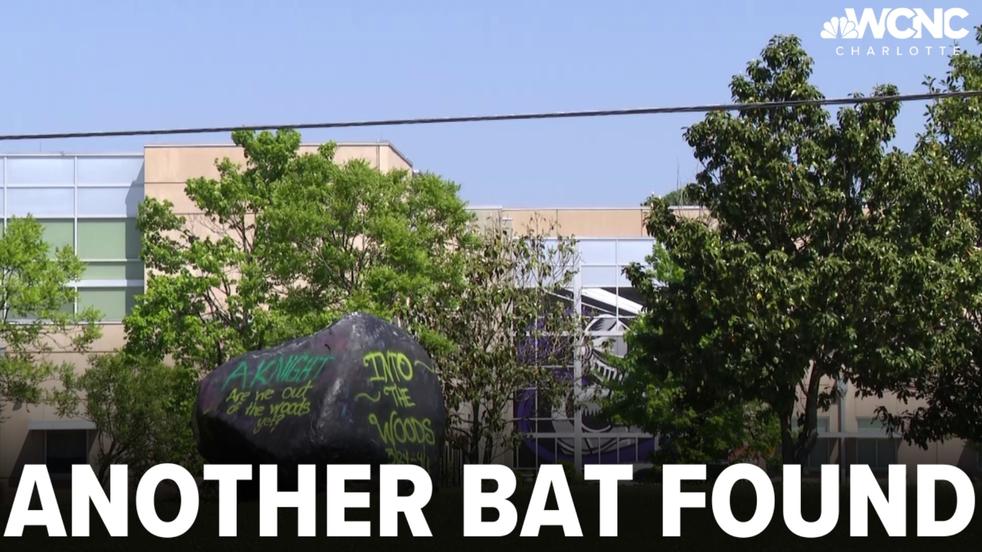 Ardrey Kell High School officials say students are safe despite their discovery of another bat today.