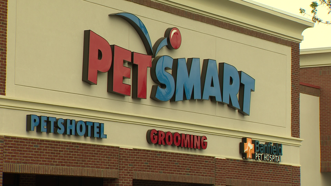 Woman says her dog was injured at Charlotte PetSmart grooming
